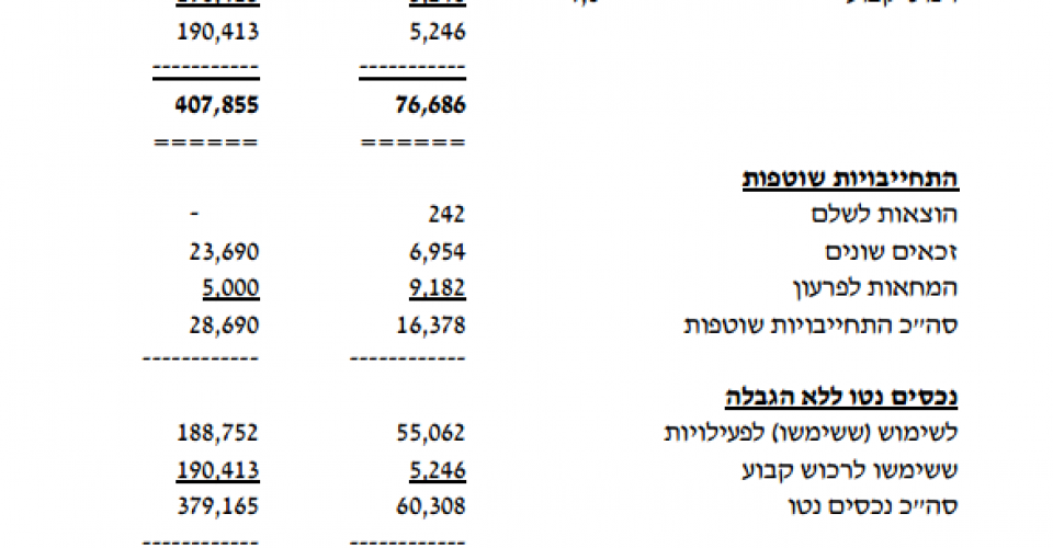 בית ישי מאזן 2013