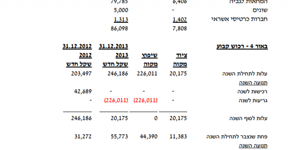 בית ישי מאזן 2013